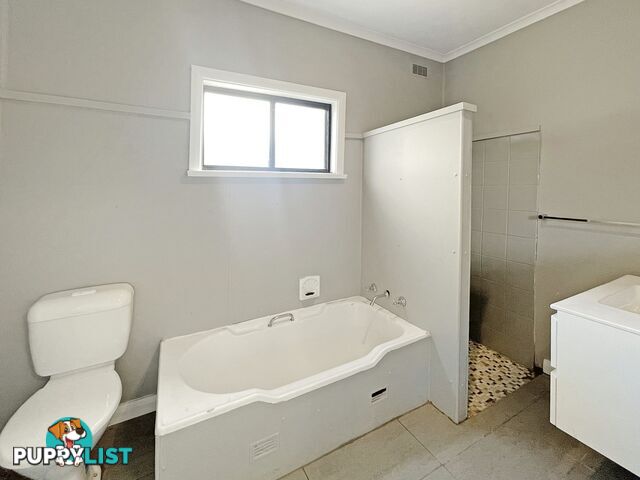 67 Williams Street BROKEN HILL NSW 2880