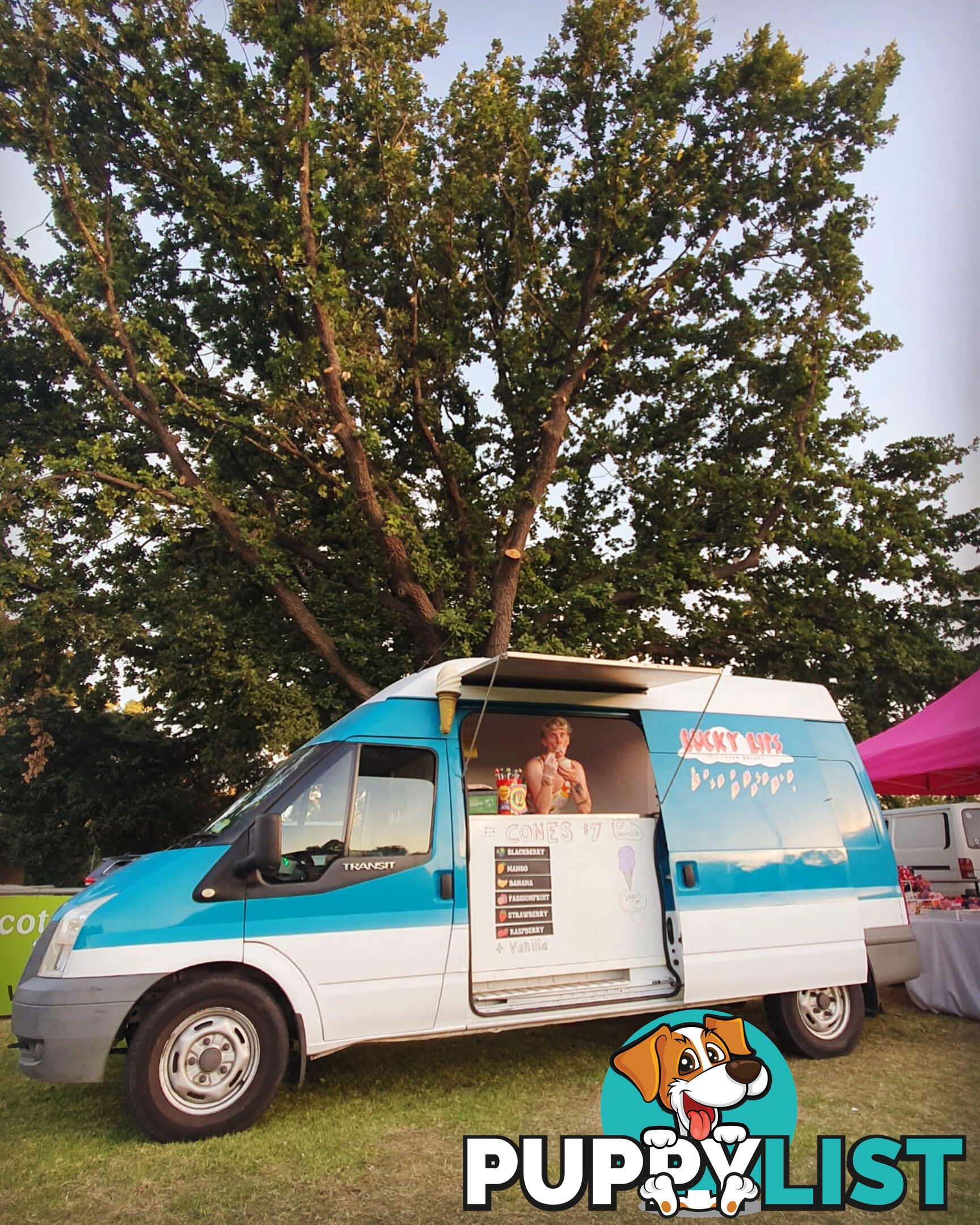 Ice Cream Van + Business For Sale