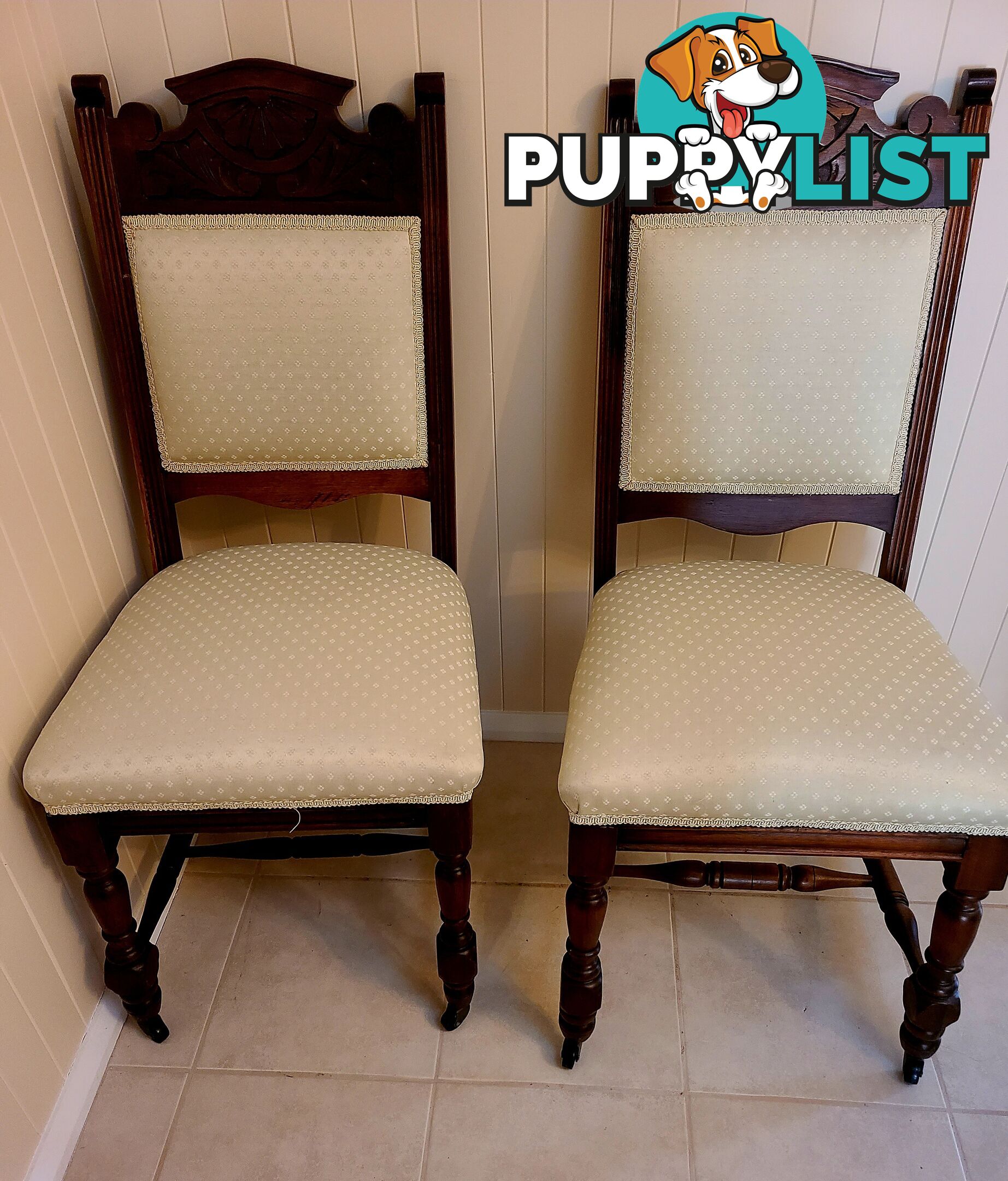 2 antique edwardian dining  chairs