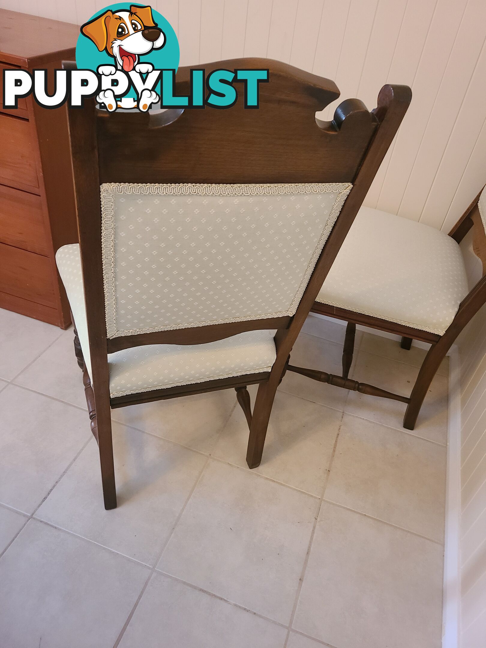2 antique edwardian dining  chairs