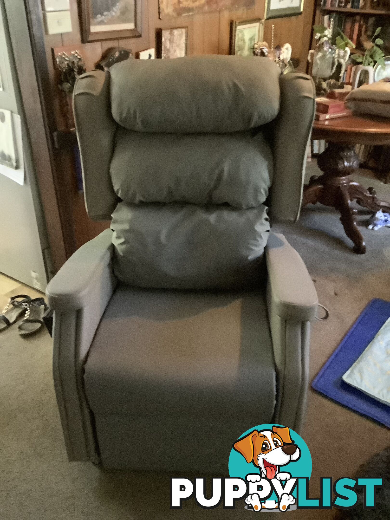 Electric lift recliner
