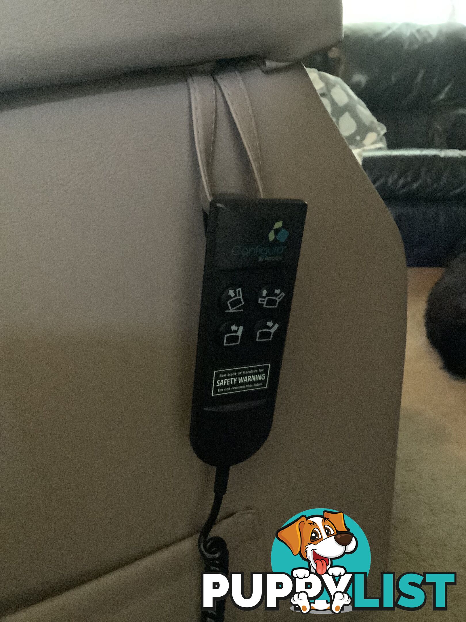 Electric lift recliner