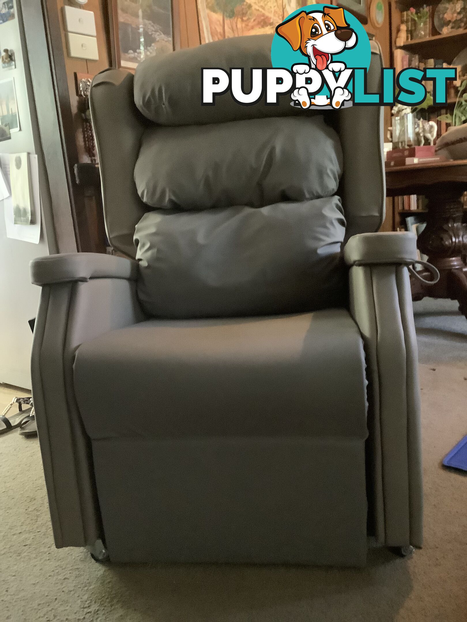 Electric lift recliner