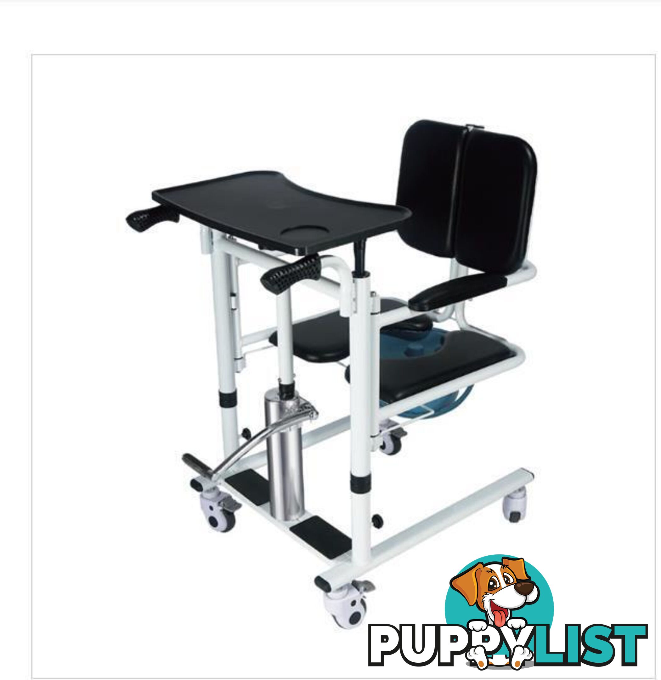 Elderly Lift and mover