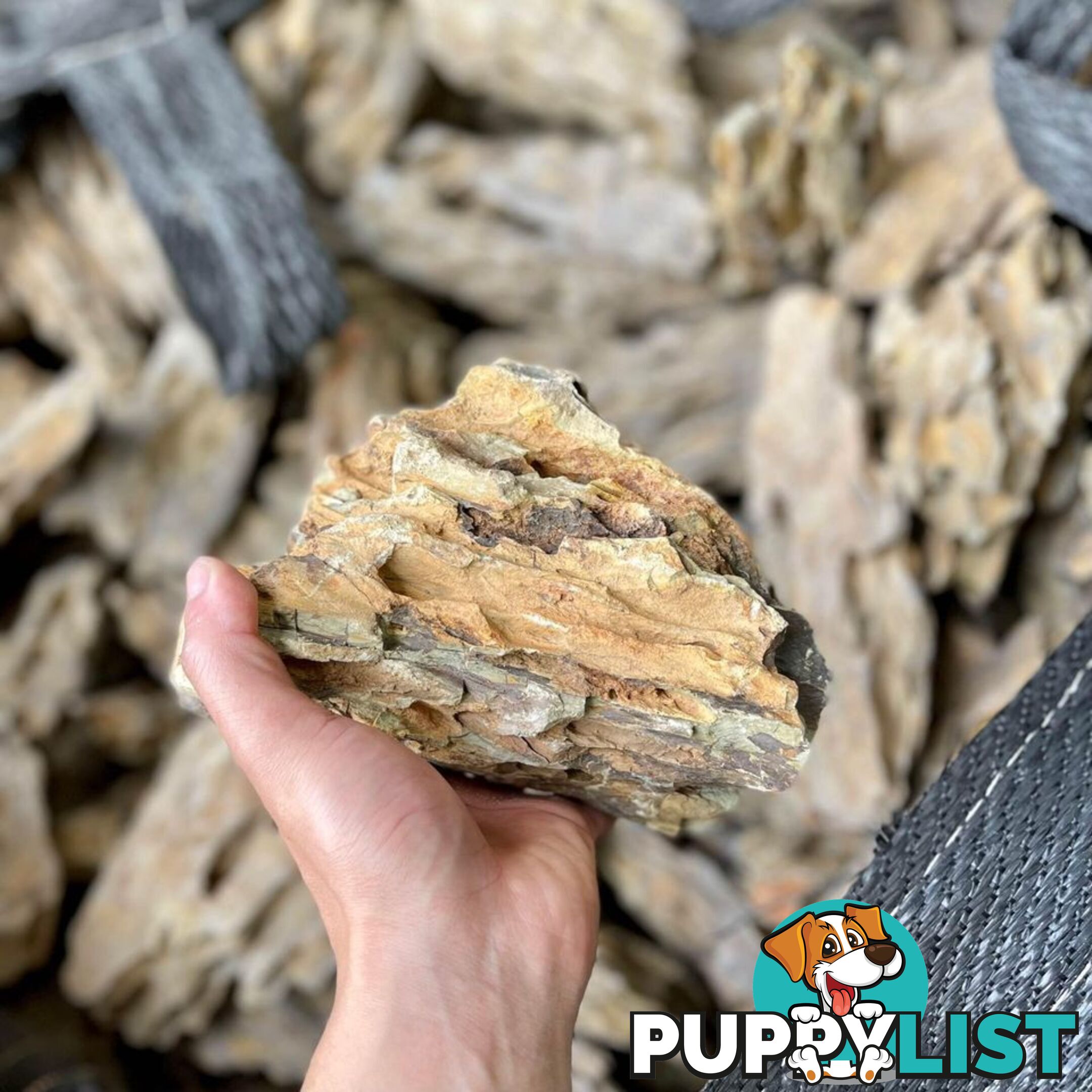 Premium Dragon Rocks for your fish tank / Aquascaping