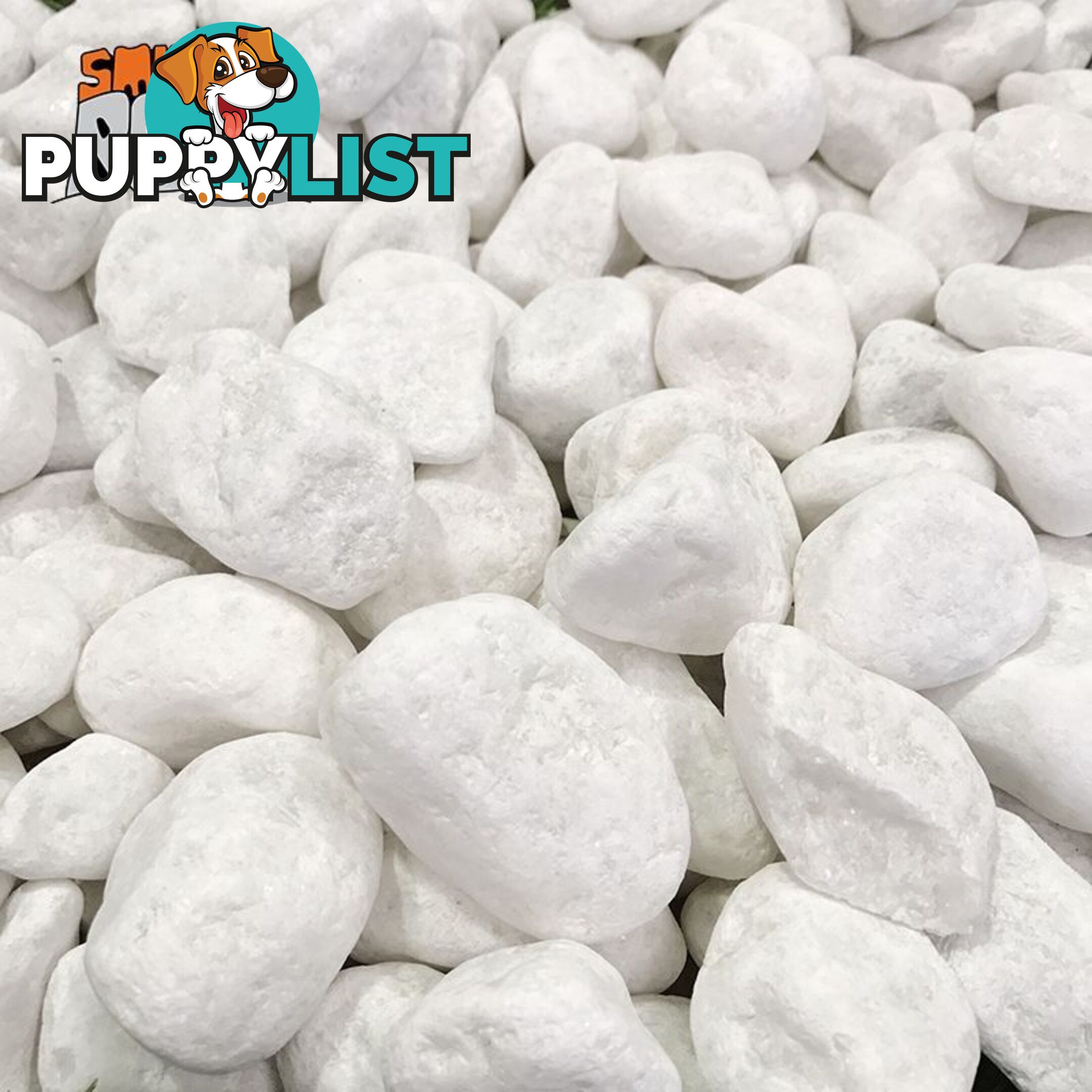 Snow White, Pure White Garden Decor Pebbles/Stones.