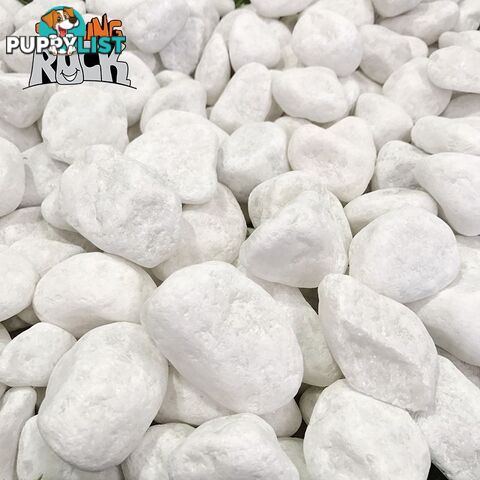 Snow White, Pure White Garden Decor Pebbles/Stones.