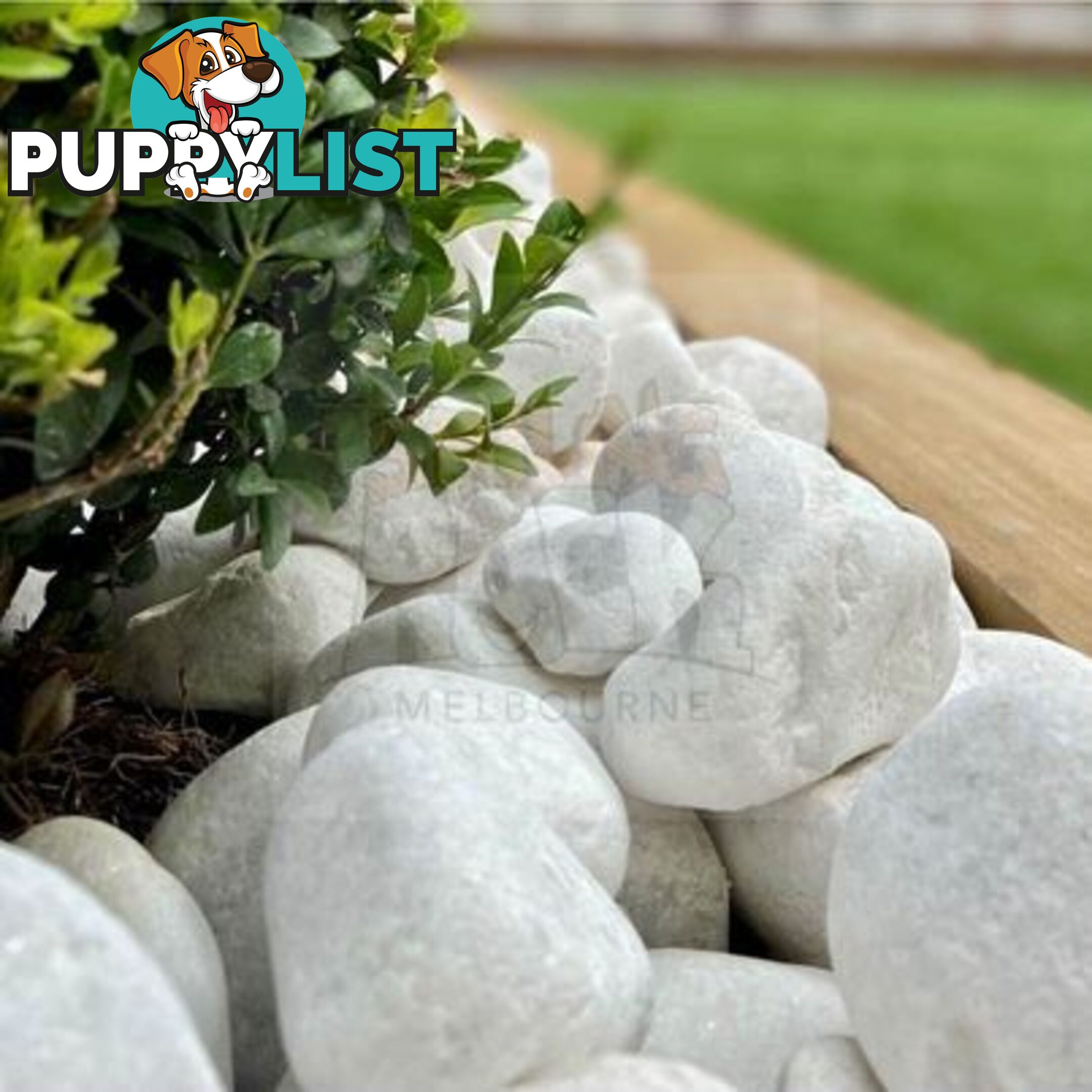 Snow White, Pure White Garden Decor Pebbles/Stones.