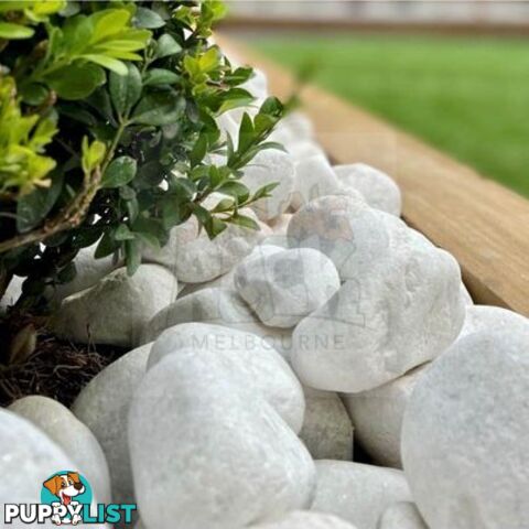 Snow White, Pure White Garden Decor Pebbles/Stones.