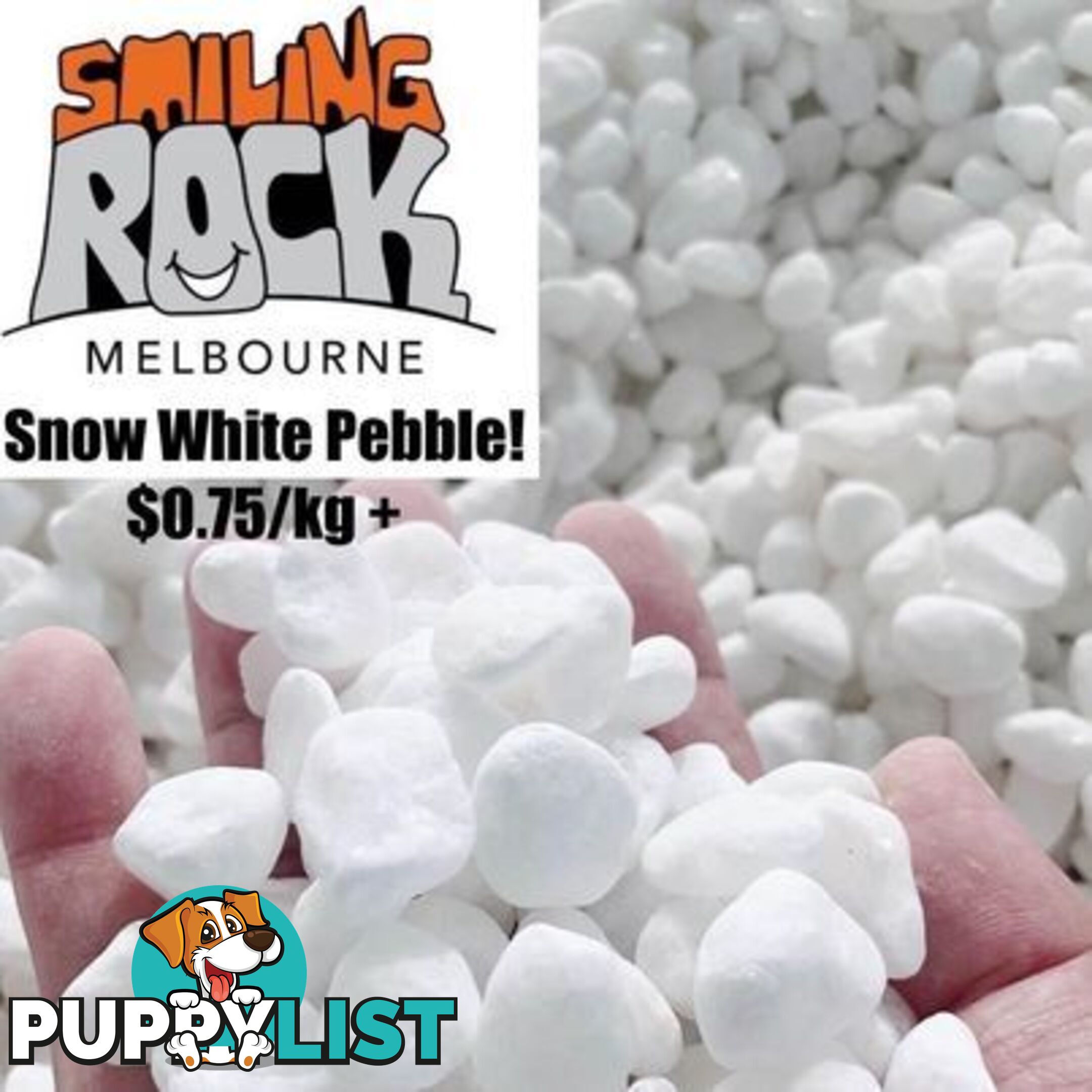 Snow White, Pure White Garden Decor Pebbles/Stones.