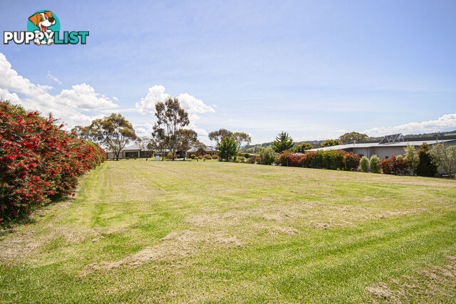 16 Byrne Court SWAN REACH VIC 3903