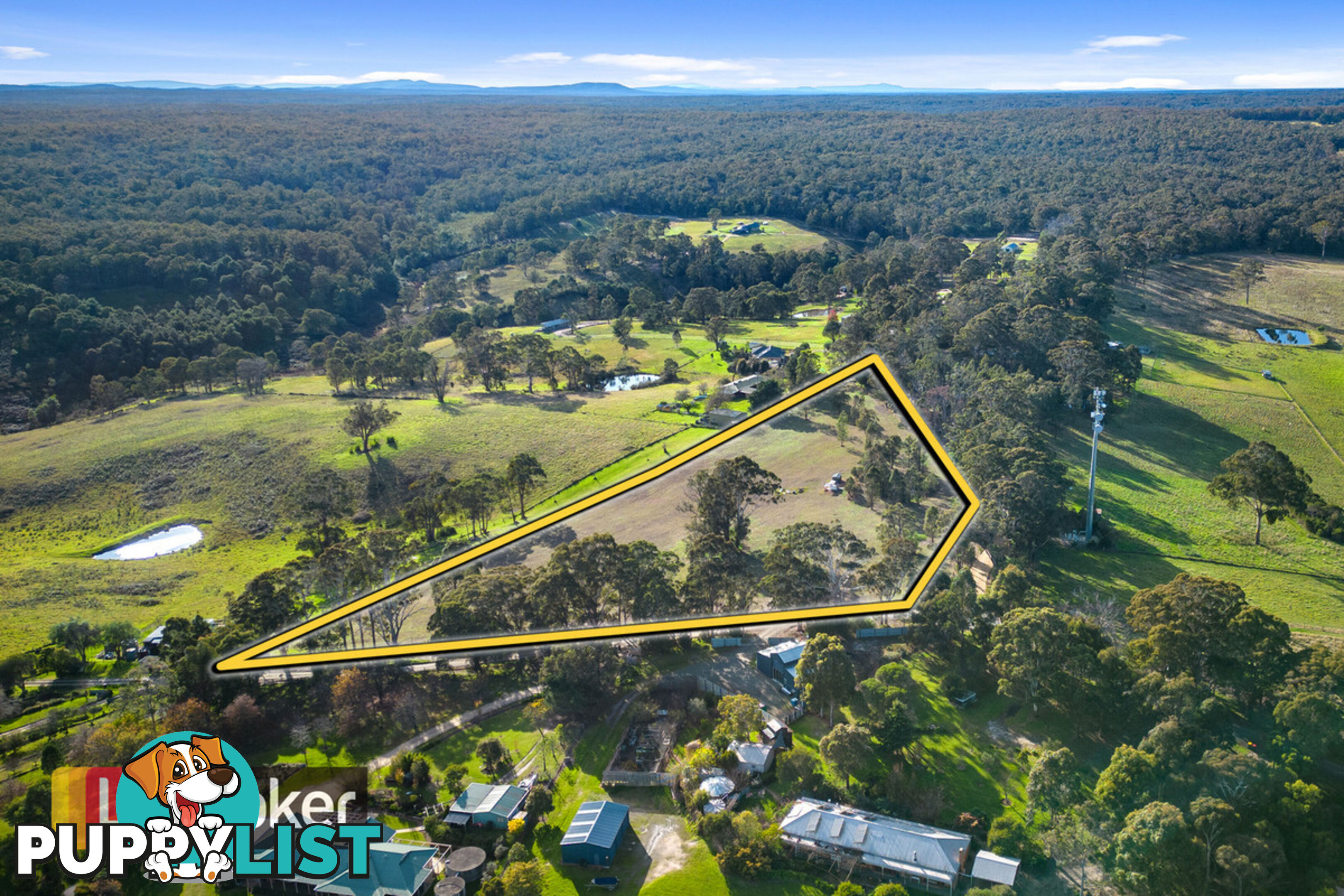 155 Old Orbost Road SWAN REACH VIC 3903