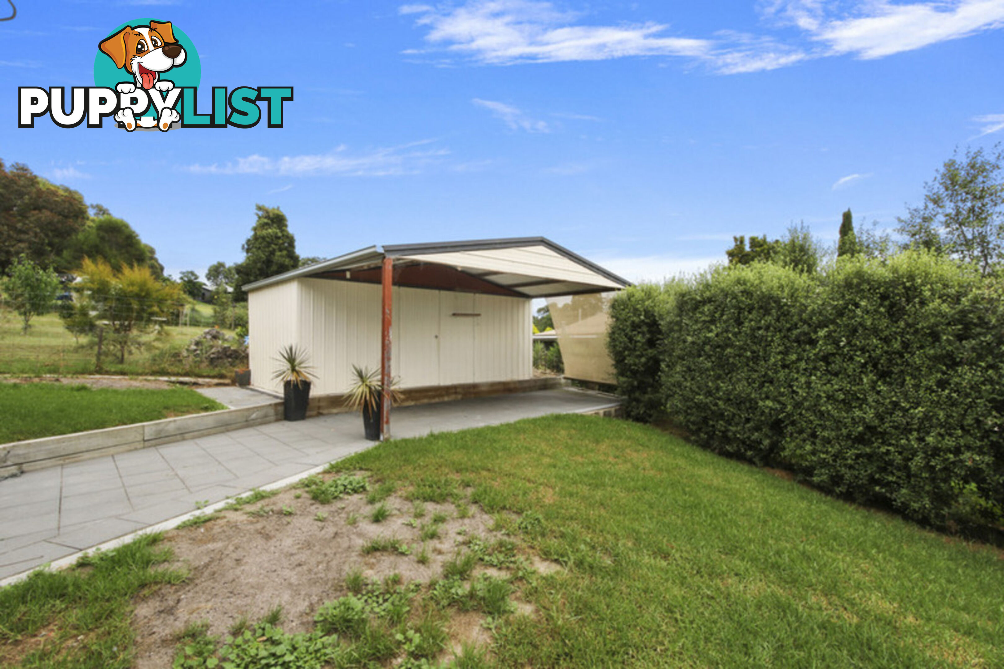 12 Neals Road METUNG VIC 3904