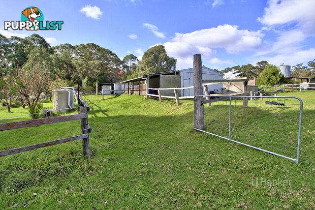 19 Gully Road NOWA NOWA VIC 3887