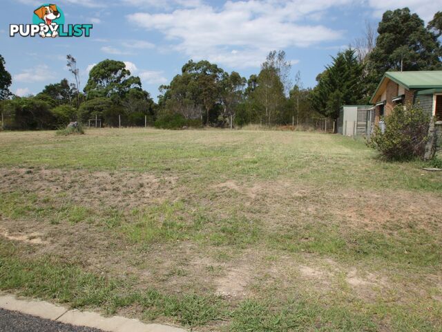 41 Broadlands Road METUNG VIC 3904