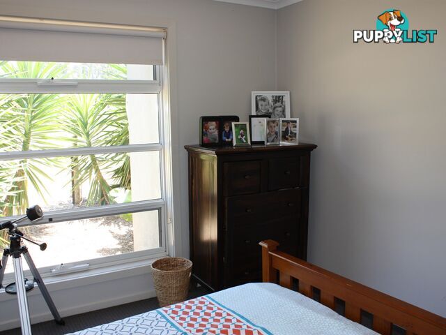 17 Peter Road METUNG VIC 3904