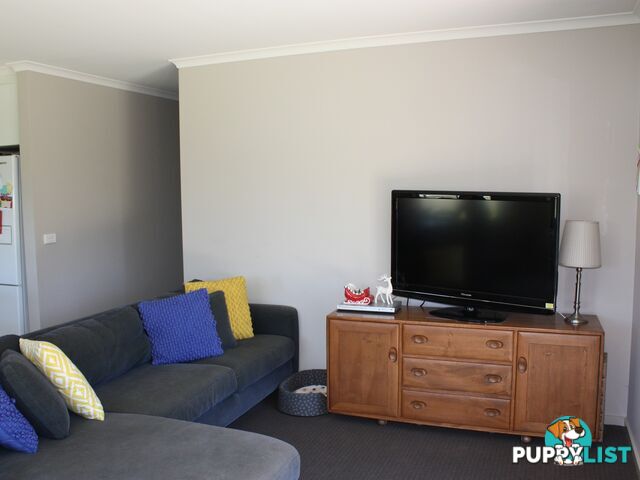 17 Peter Road METUNG VIC 3904