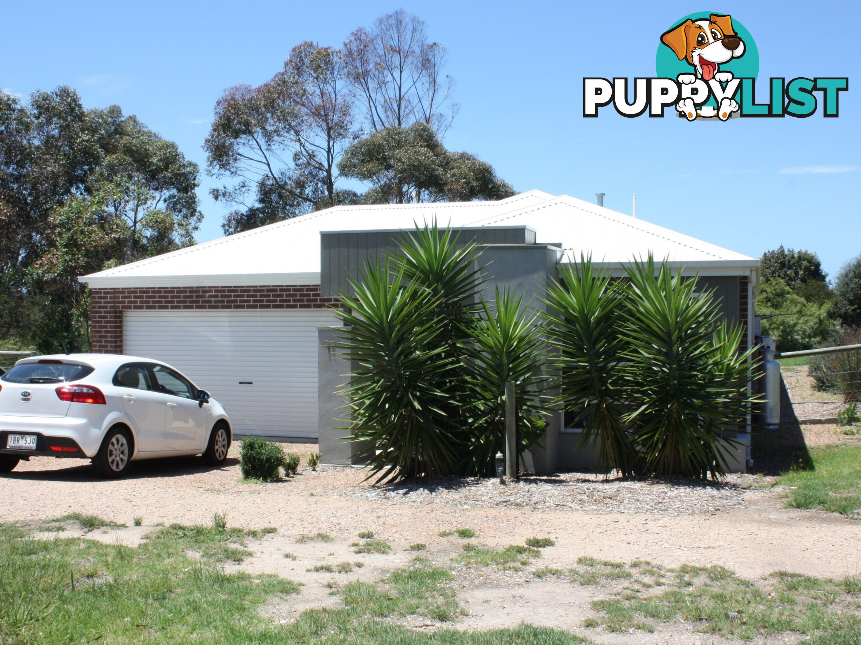 17 Peter Road METUNG VIC 3904