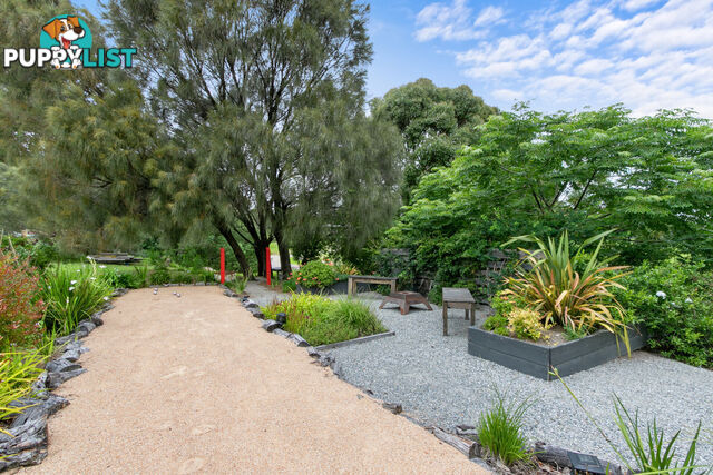 5 Seagull Avenue METUNG VIC 3904