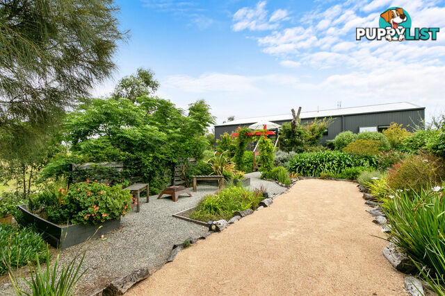 5 Seagull Avenue METUNG VIC 3904