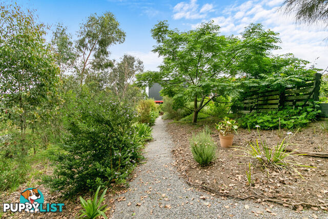 5 Seagull Avenue METUNG VIC 3904