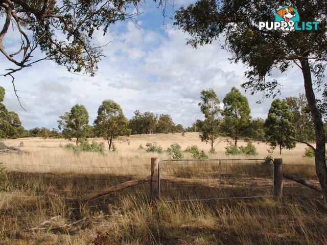 LOT 10 Back Creek Road KARARA QLD 4352