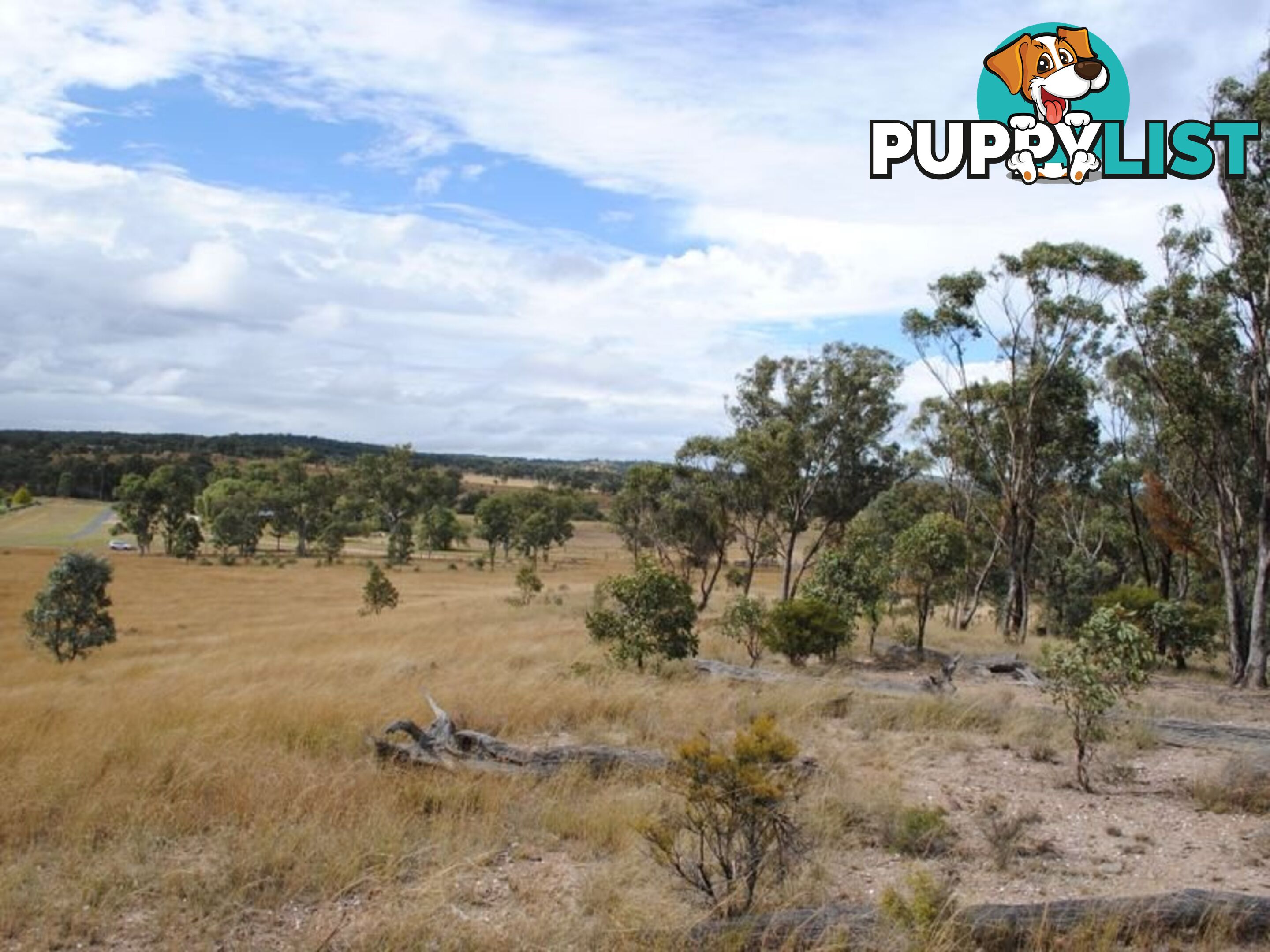 LOT 10 Back Creek Road KARARA QLD 4352