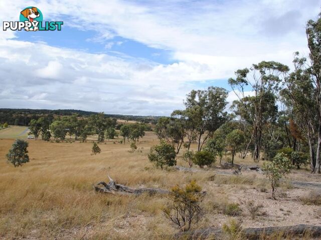 LOT 10 Back Creek Road KARARA QLD 4352