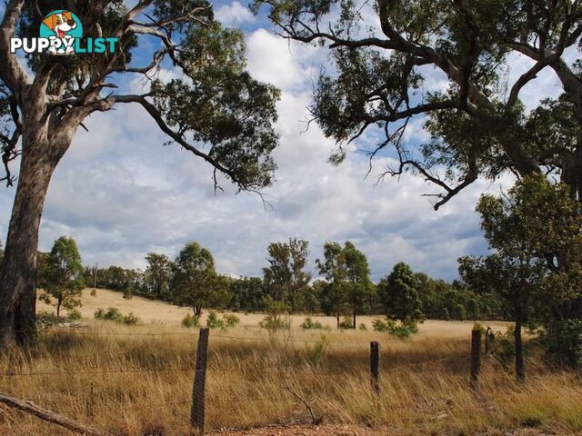 LOT 10 Back Creek Road KARARA QLD 4352