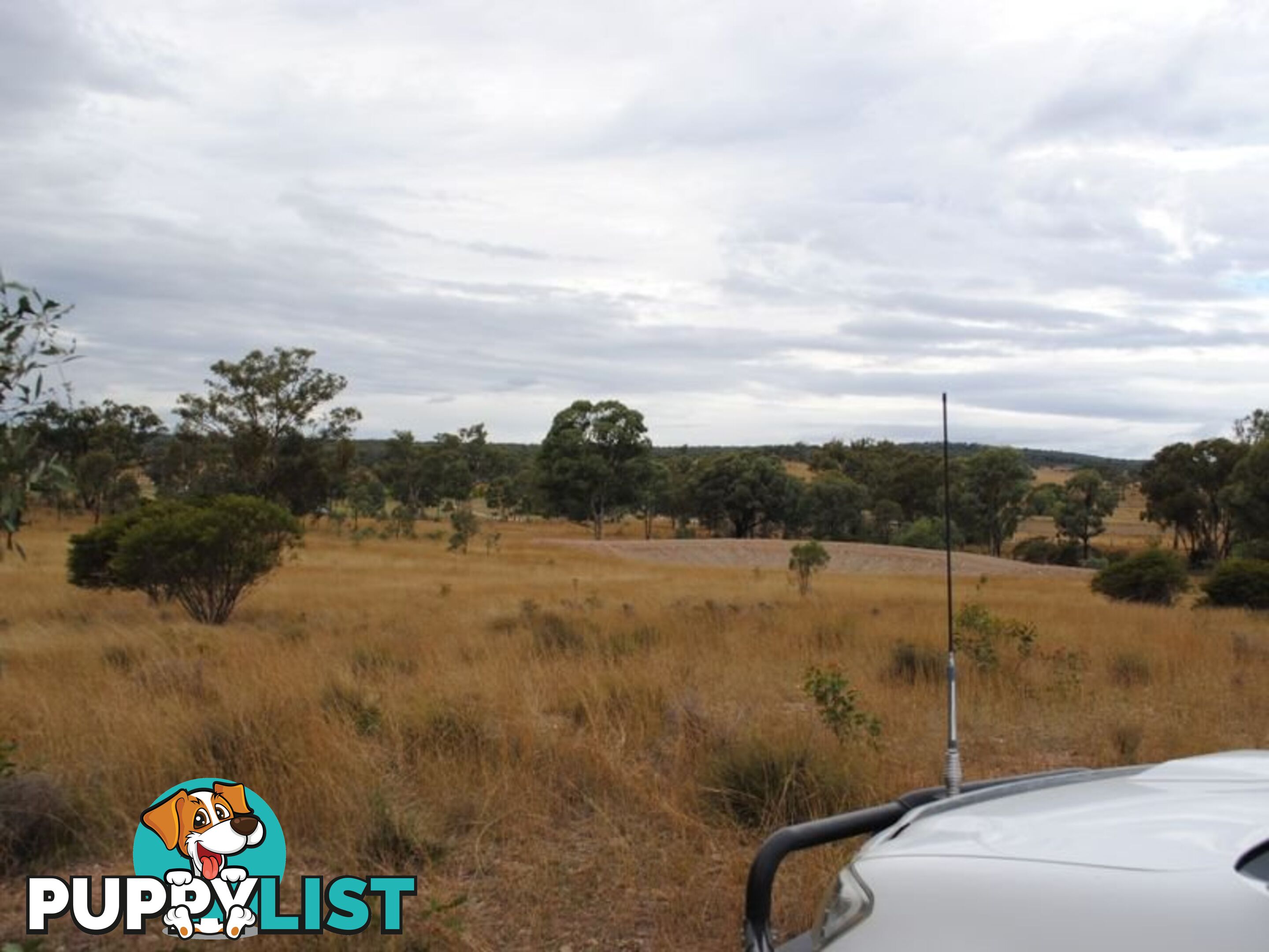 LOT 10 Back Creek Road KARARA QLD 4352