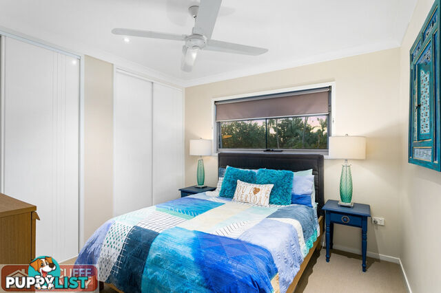 31 Albert Street MARGATE QLD 4019