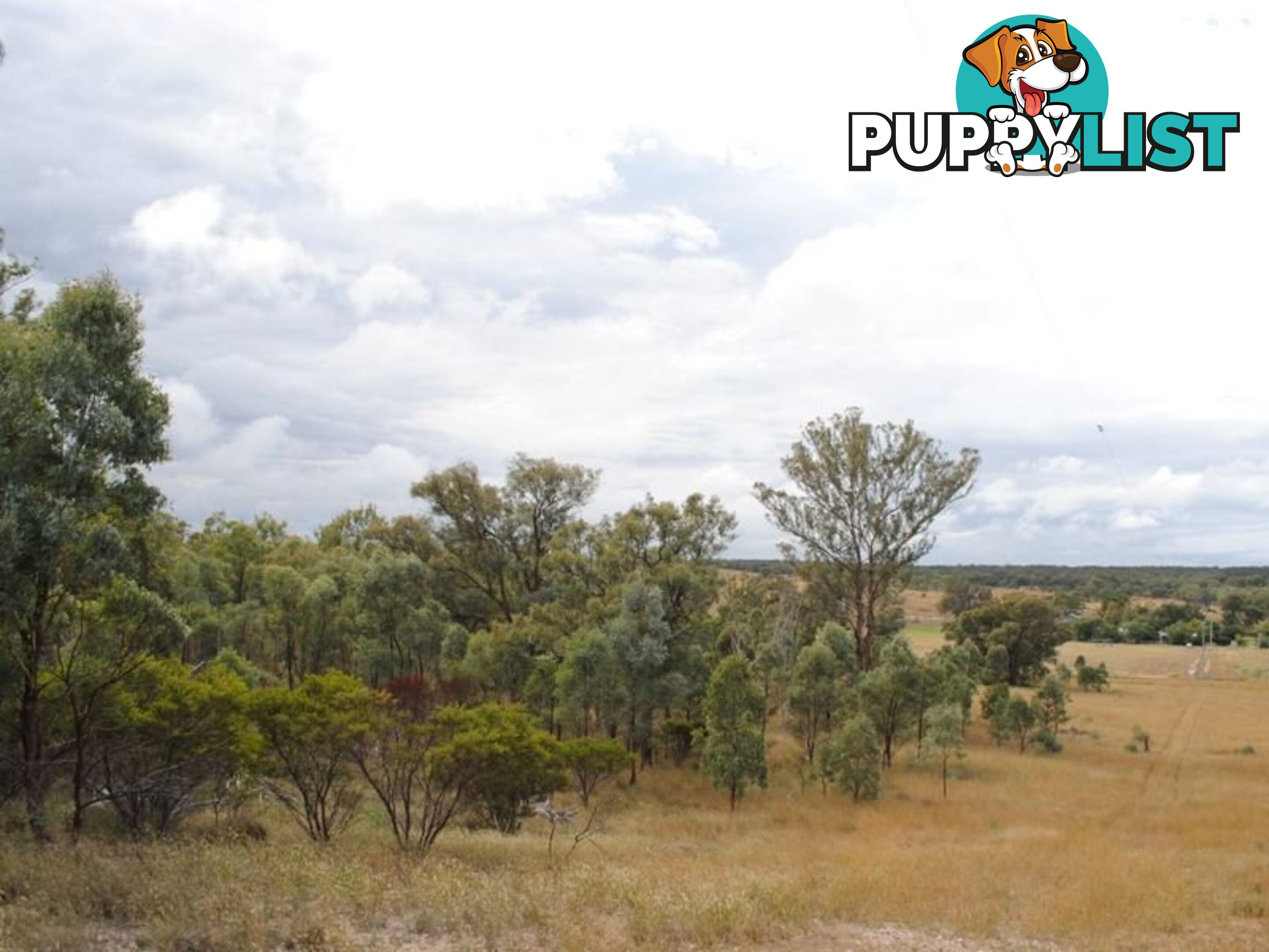 LOT 2 Back Creek Road KARARA QLD 4352