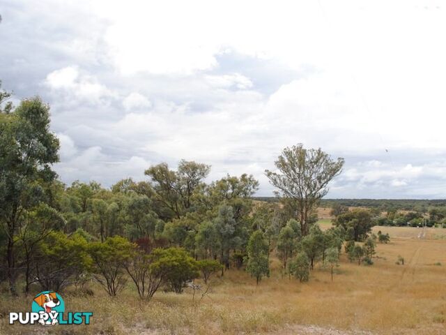 LOT 2 Back Creek Road KARARA QLD 4352