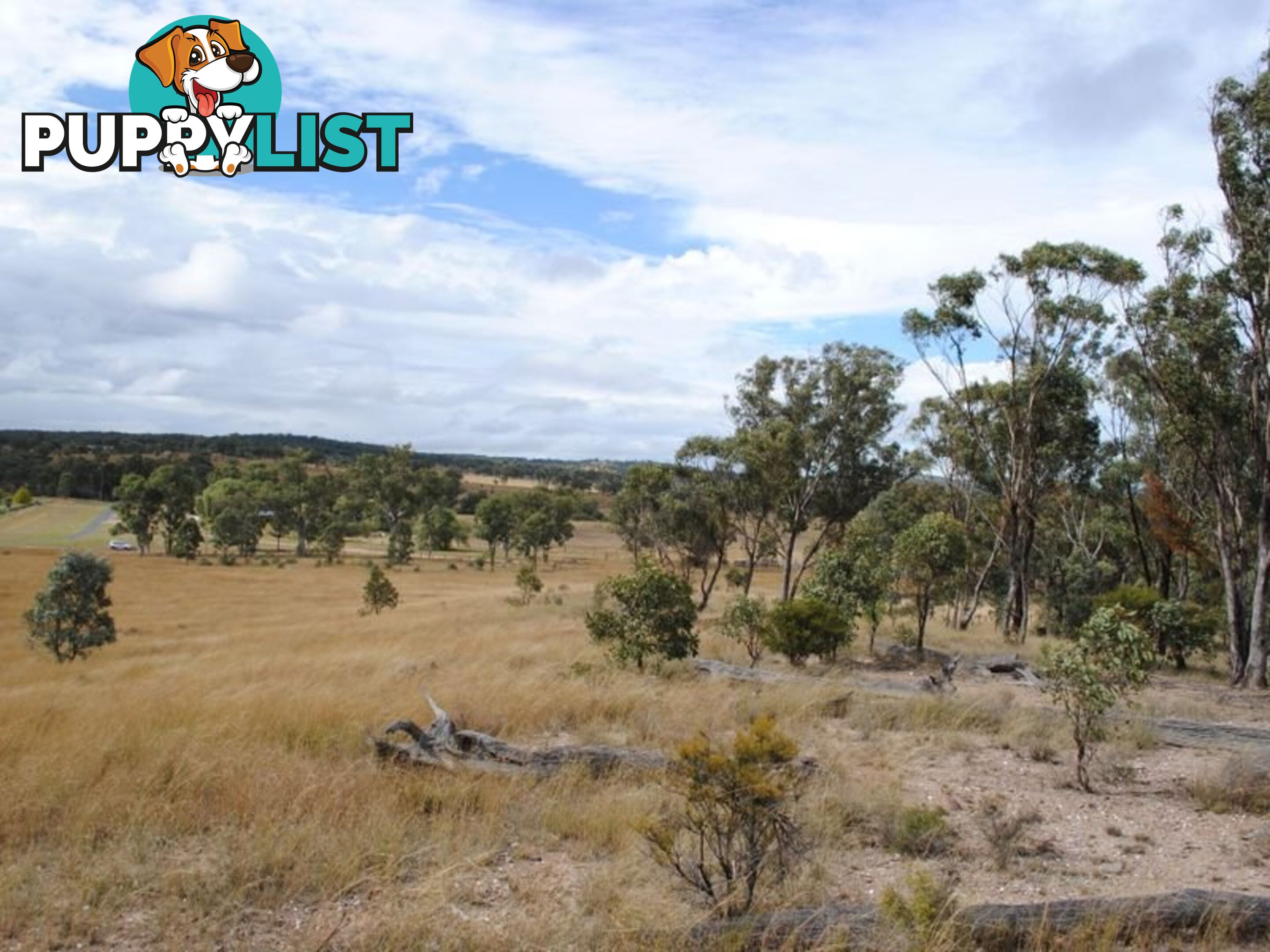 LOT 2 Back Creek Road KARARA QLD 4352