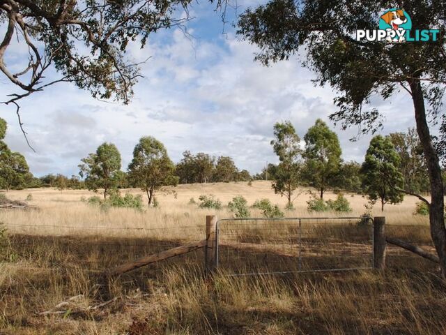 LOT 2 Back Creek Road KARARA QLD 4352