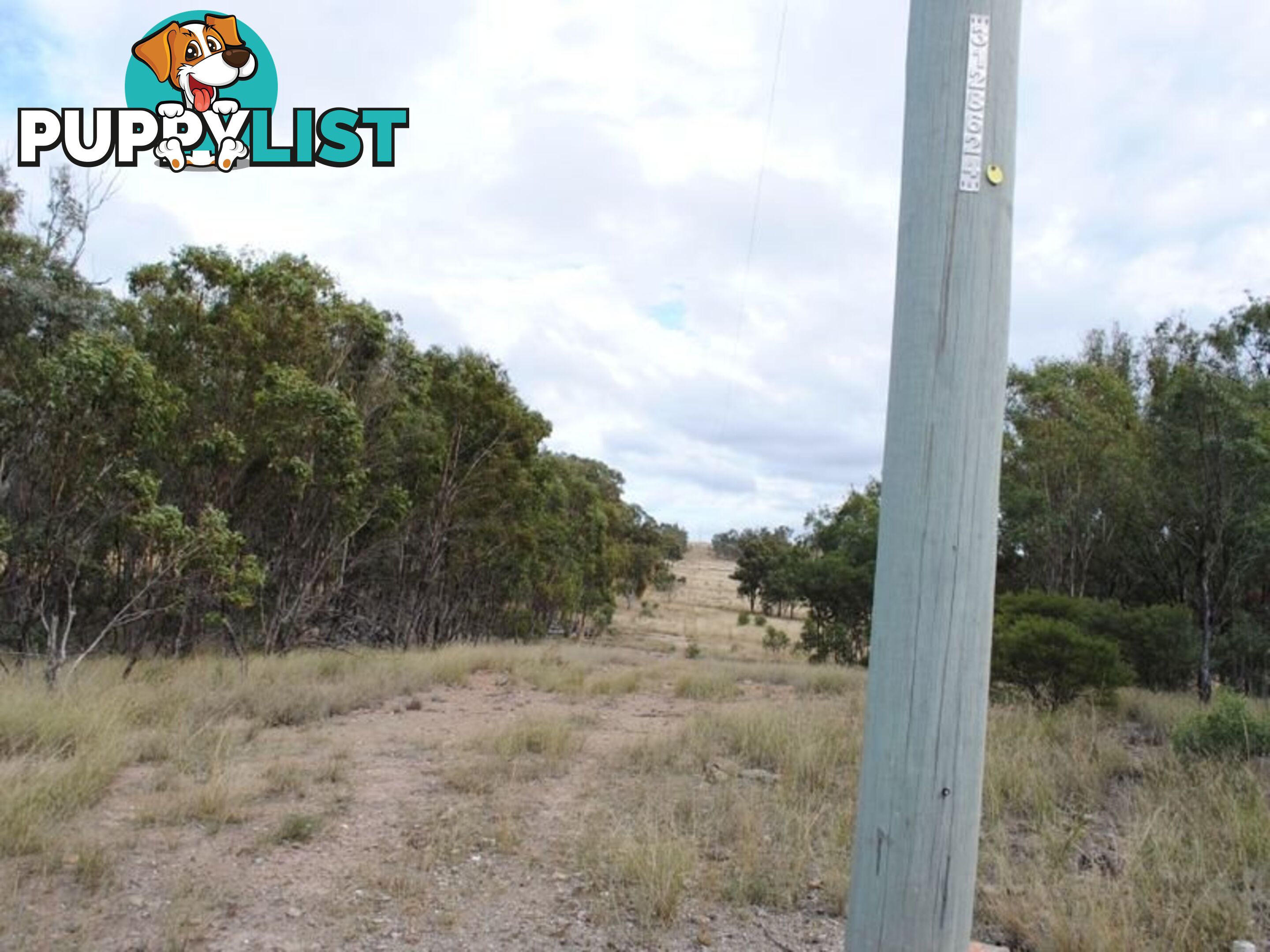 LOT 2 Back Creek Road KARARA QLD 4352