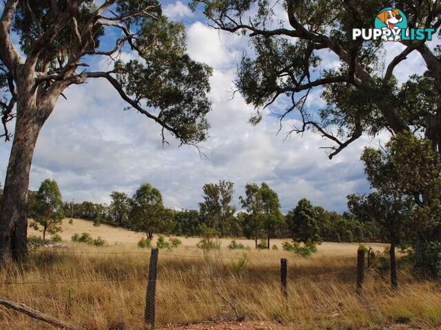 LOT 2 Back Creek Road KARARA QLD 4352