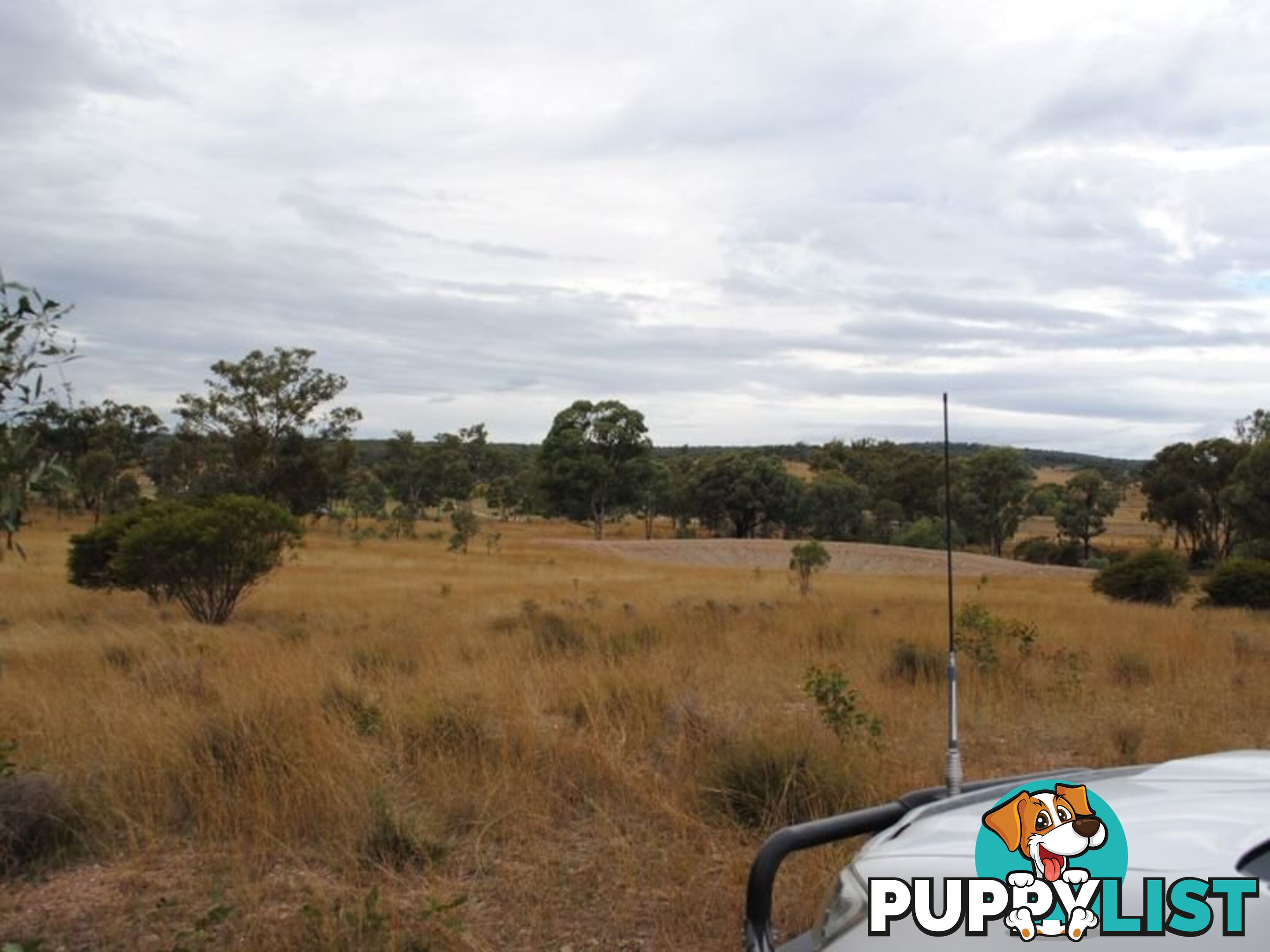 LOT 2 Back Creek Road KARARA QLD 4352