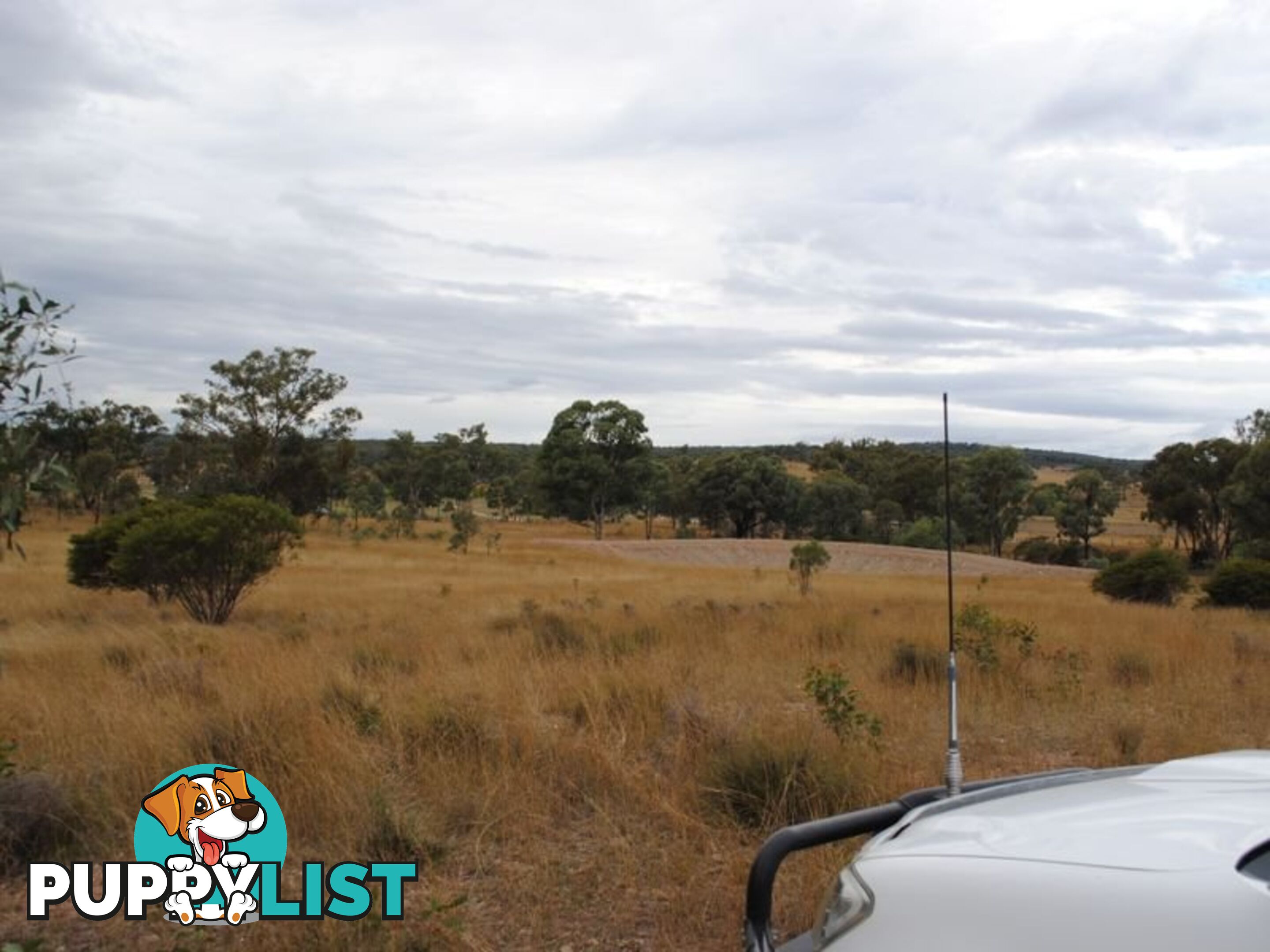 LOT 11 Back Creek Road KARARA QLD 4352