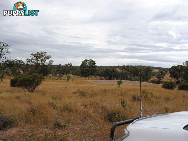 LOT 11 Back Creek Road KARARA QLD 4352