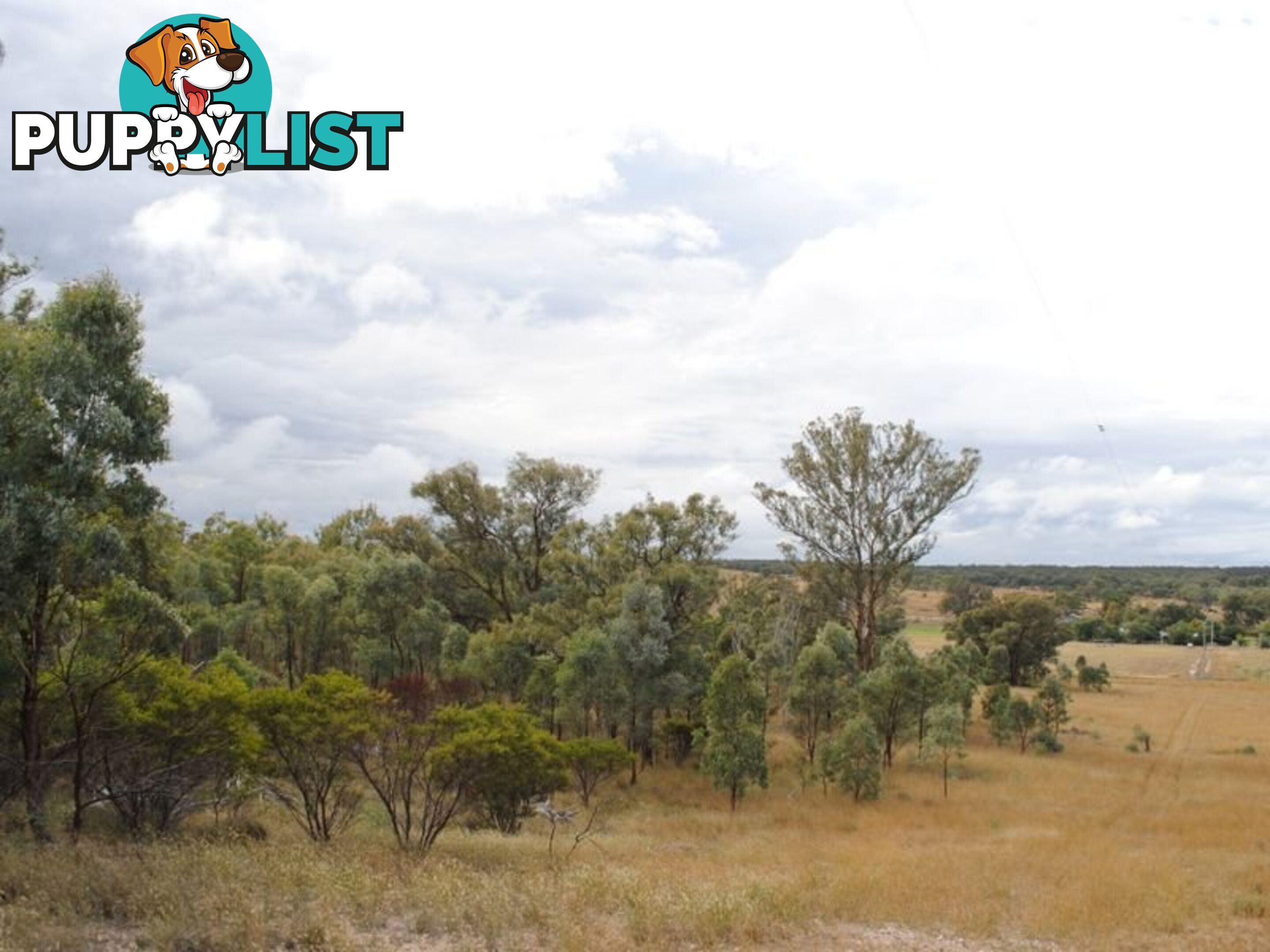 LOT 11 Back Creek Road KARARA QLD 4352