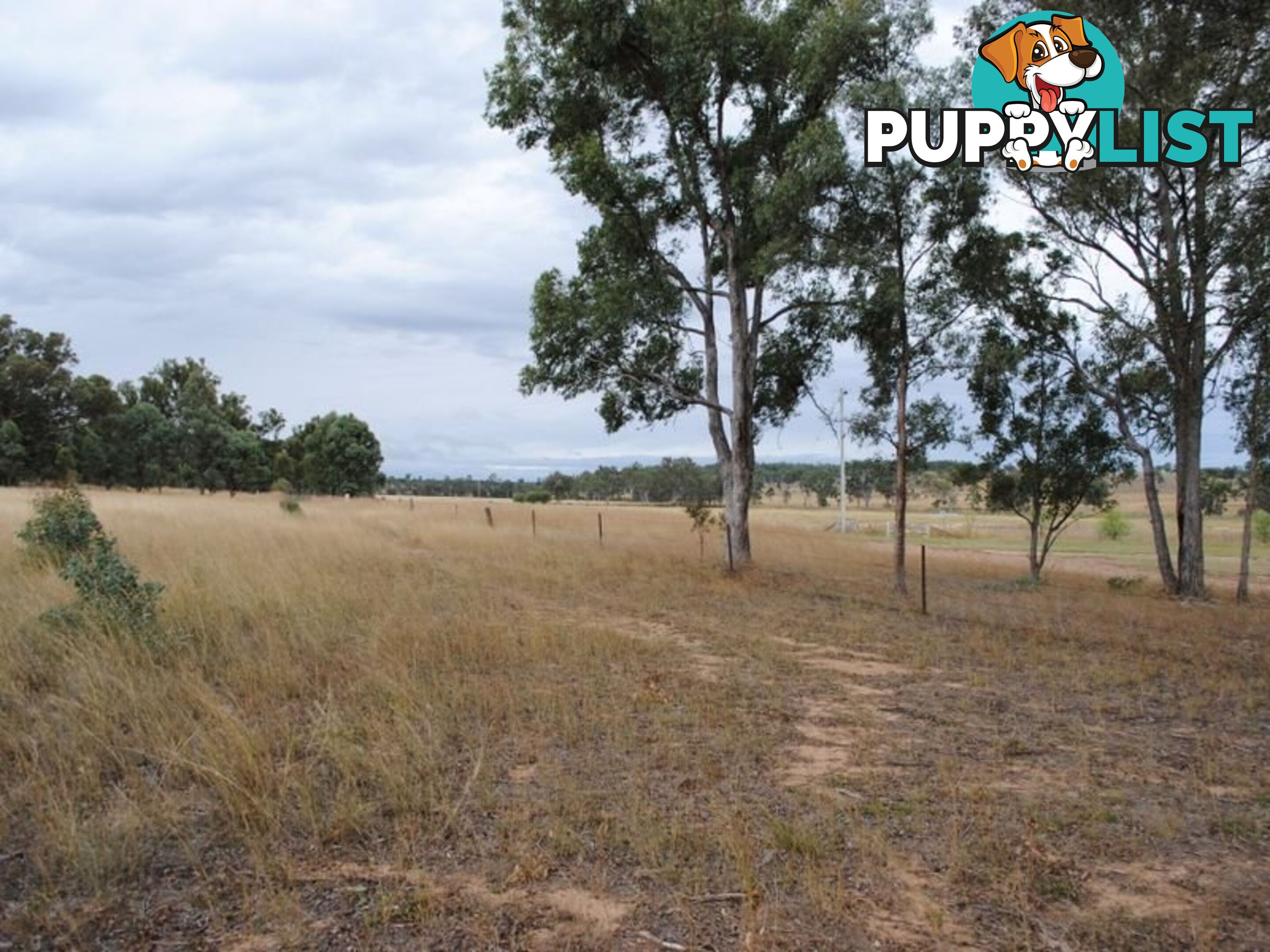 LOT 11 Back Creek Road KARARA QLD 4352