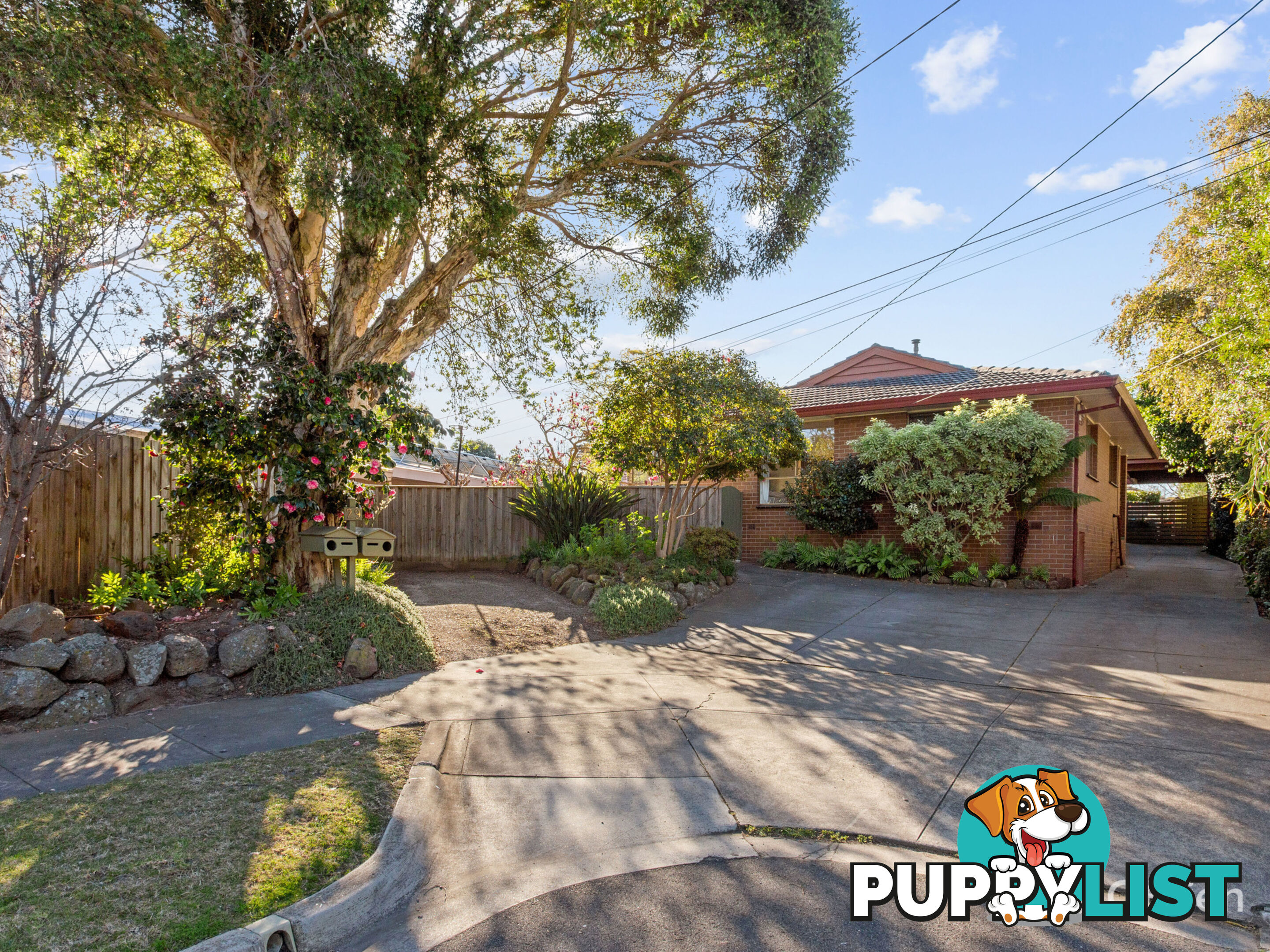 29 Haywood Street Beaumaris VIC 3193