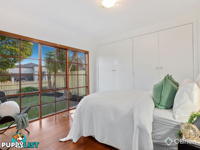 7 Cox Street Cheltenham VIC 3192