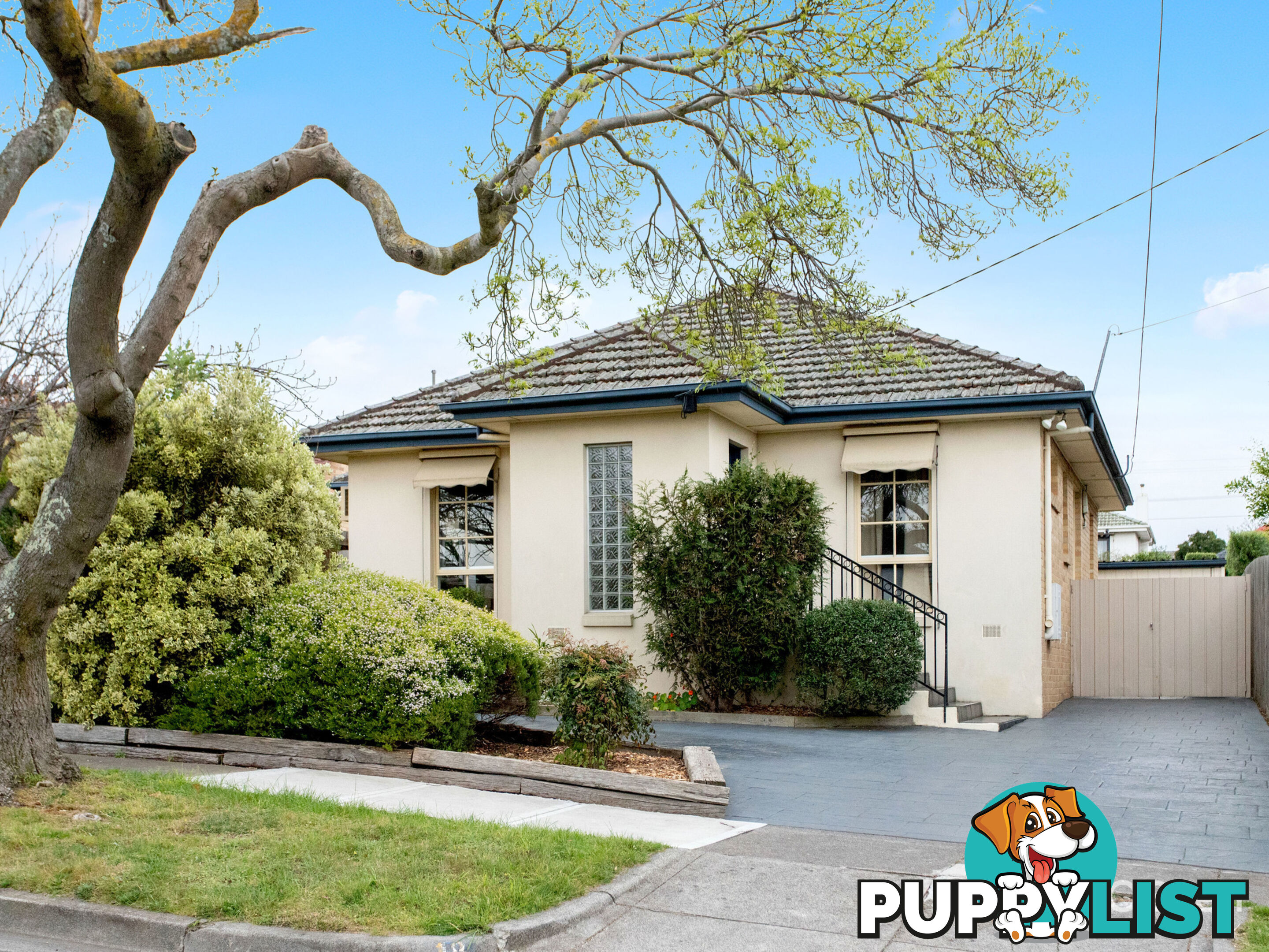 18 Blamey Street Bentleigh East VIC 3165