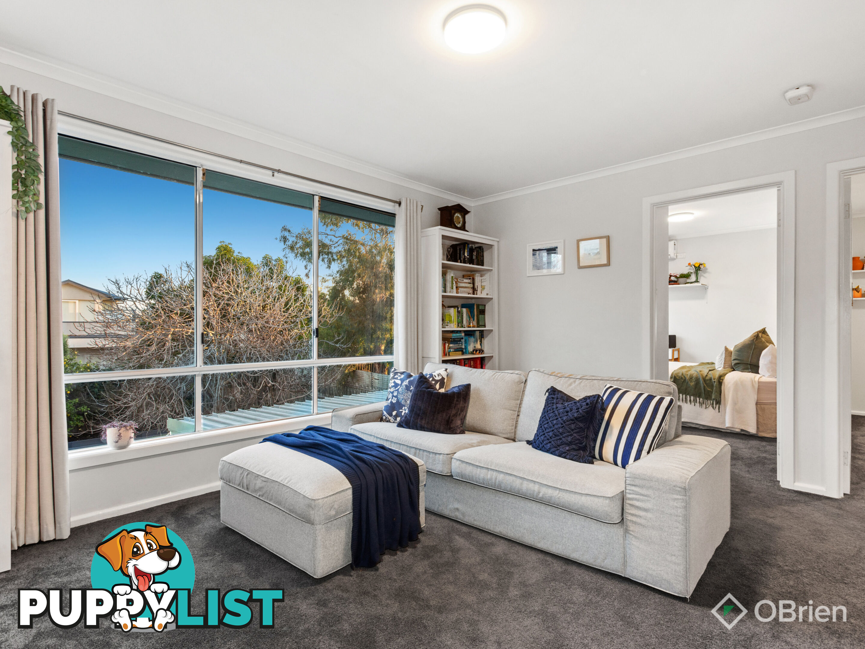 104 Patty Street Mentone VIC 3194