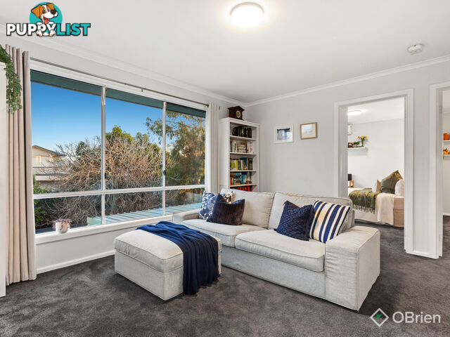 104 Patty Street Mentone VIC 3194