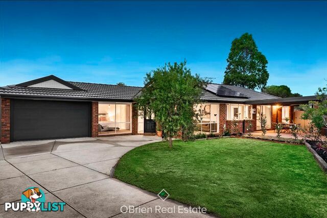 6 Cypress Court  Oakleigh South, VIC 3167