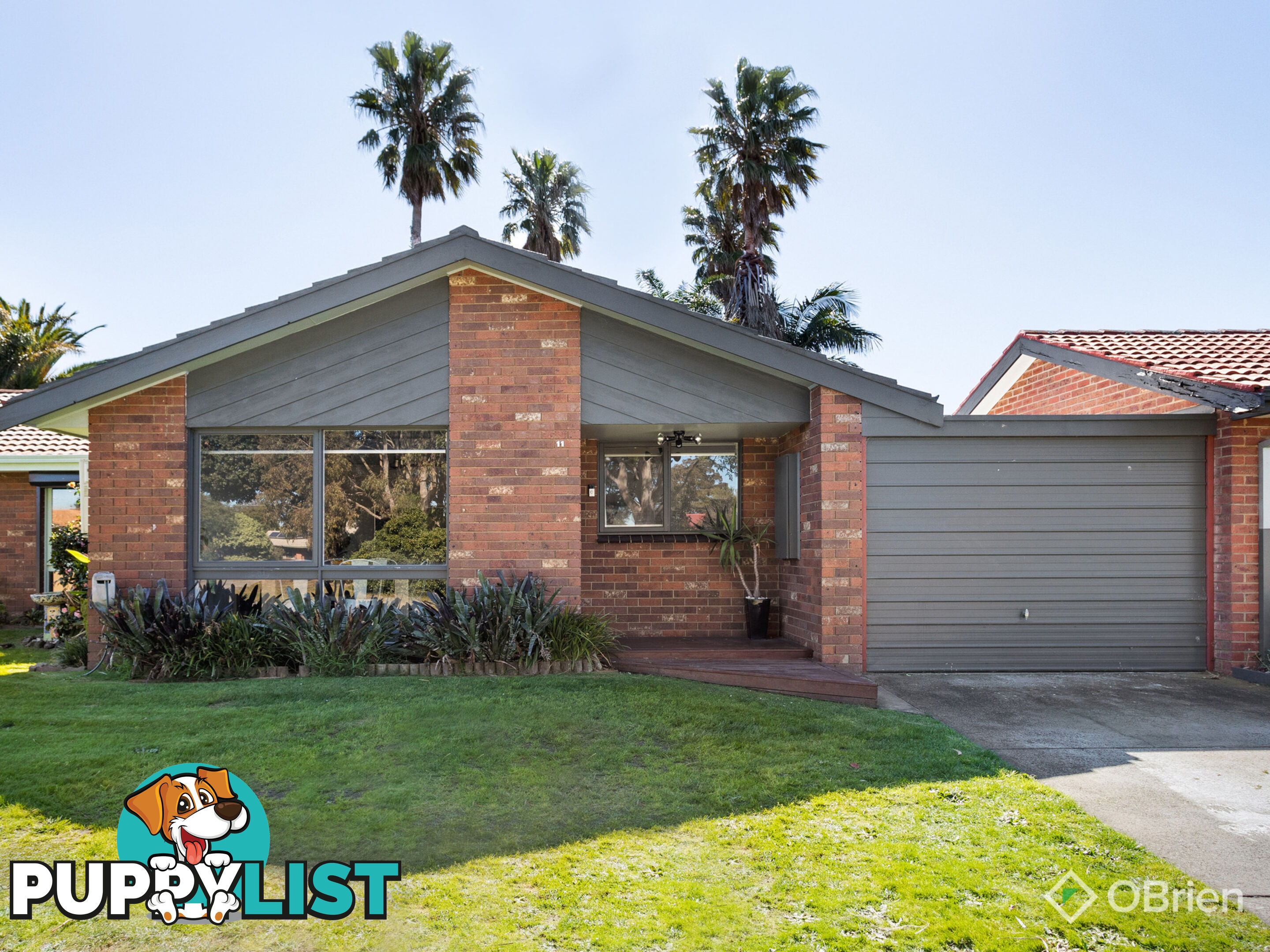 11 Village Crescent Chelsea VIC 3196