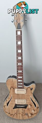 Hybrid Humbucker/Piezo Electric Guitar (Michael Kelly Hybrid Special)